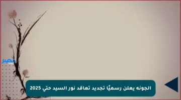 الجونة يعلن رسميًا تجديد تعاقد نور السيد حتى 2025